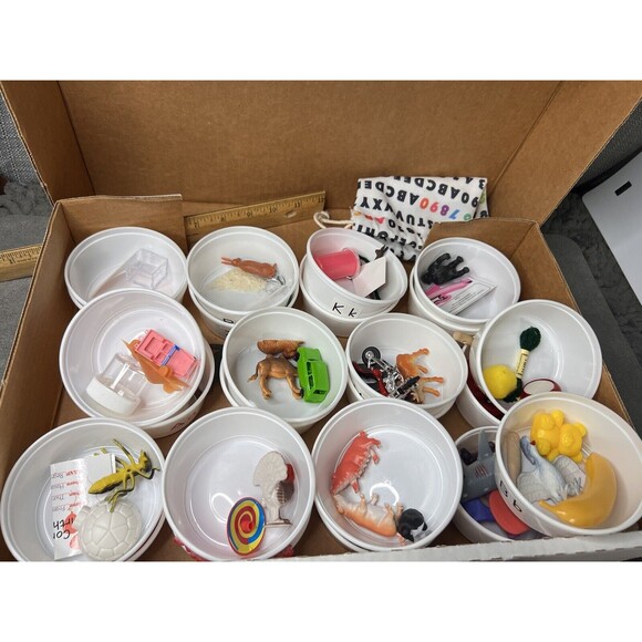 Primary Concepts Hands On Alphabet Set Lot Homeschooling Cards 78 Objects Box - Picture 9 of 12